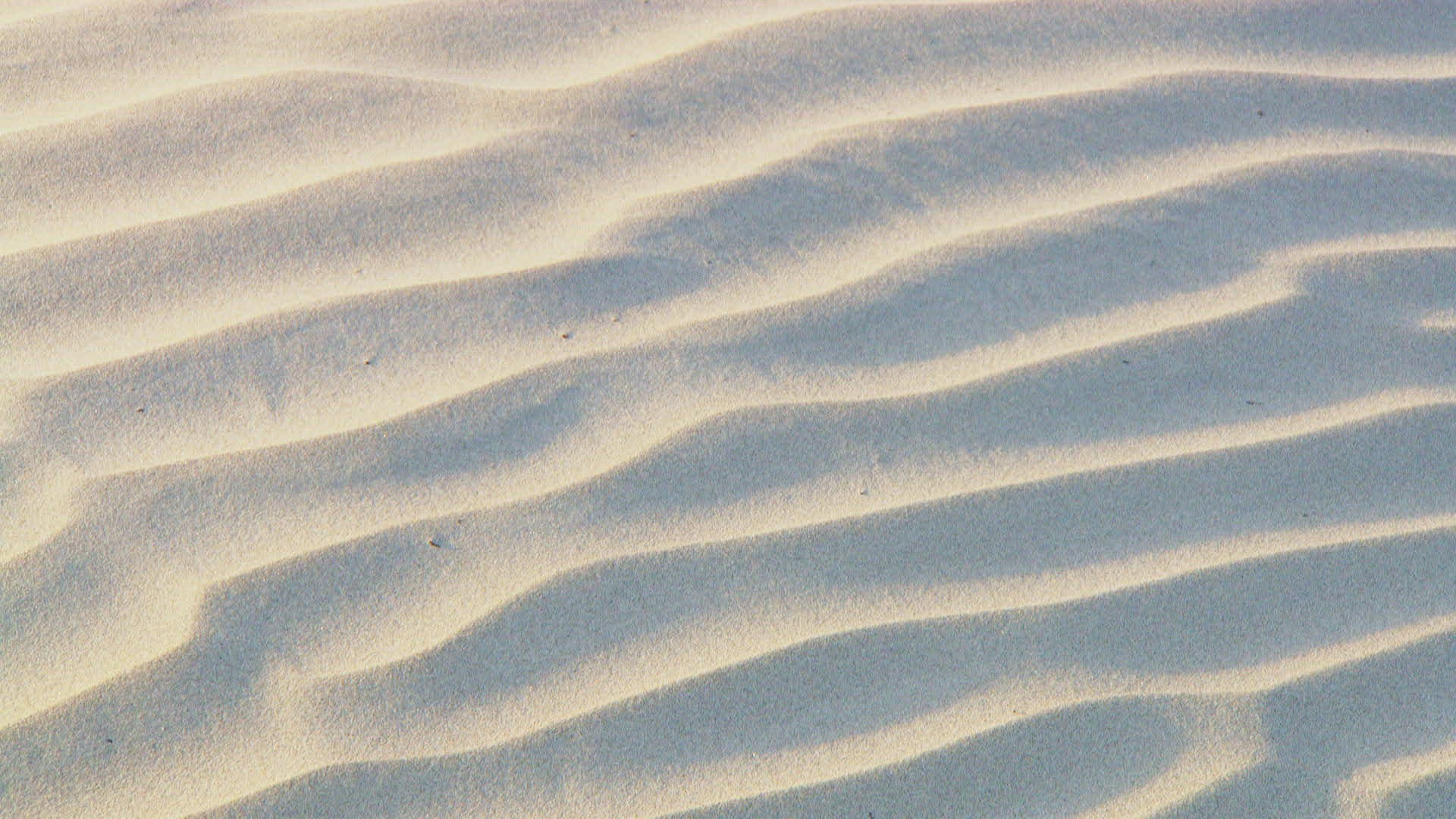 421205157 / August / 2018 / 2010-2019 / 21st Century / Rippled