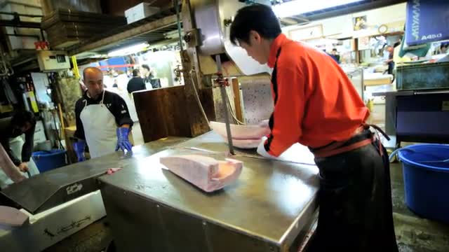 Fishing Industry Fresh Tuna Tsukiji Fish Market Worker Seafood Tokyo Japan