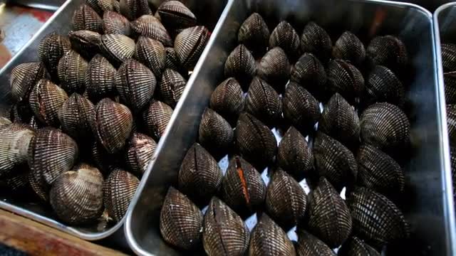 Fresh Healthy Seafood Clams Scallops Tsukiji Fish Market export Tokyo Asia Japan