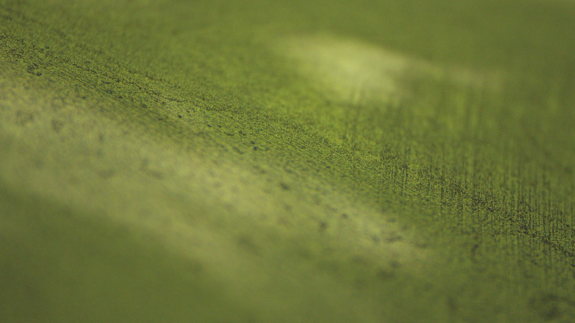 279549584 / South West England / Sliding / Bristol