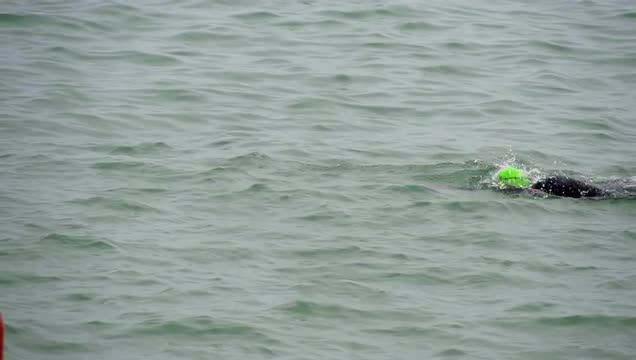 Swimmer