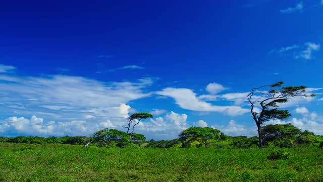 4K landscapes