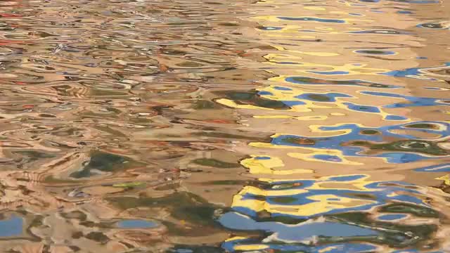0313 India Vid 6359