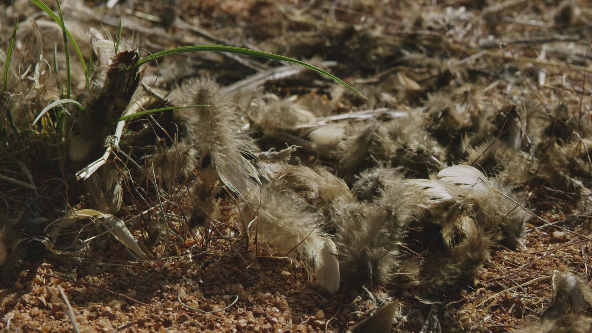 240640926 / Namibia / End / Southern Africa 240640926 / Namibia / End / Southern Africa