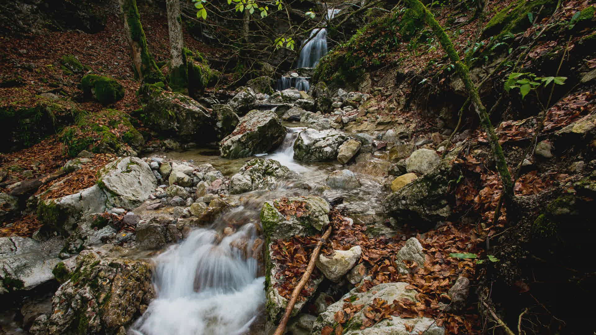 512815423 / Kremstal / Upper Austria / Austria