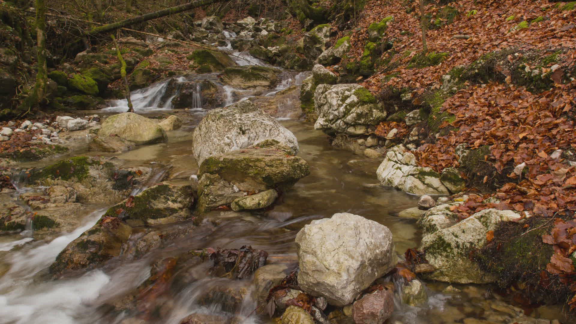 740495593 / Kremstal / Upper Austria / Austria