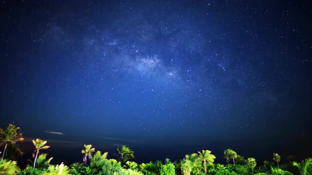 Astrophotography Time Lapse of Milky Way Galaxy &amp; Moon Rise over Tropical Jungle