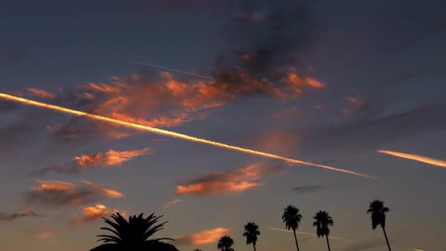 Sunset Time Lapse over Palm Trees -Tilt Up