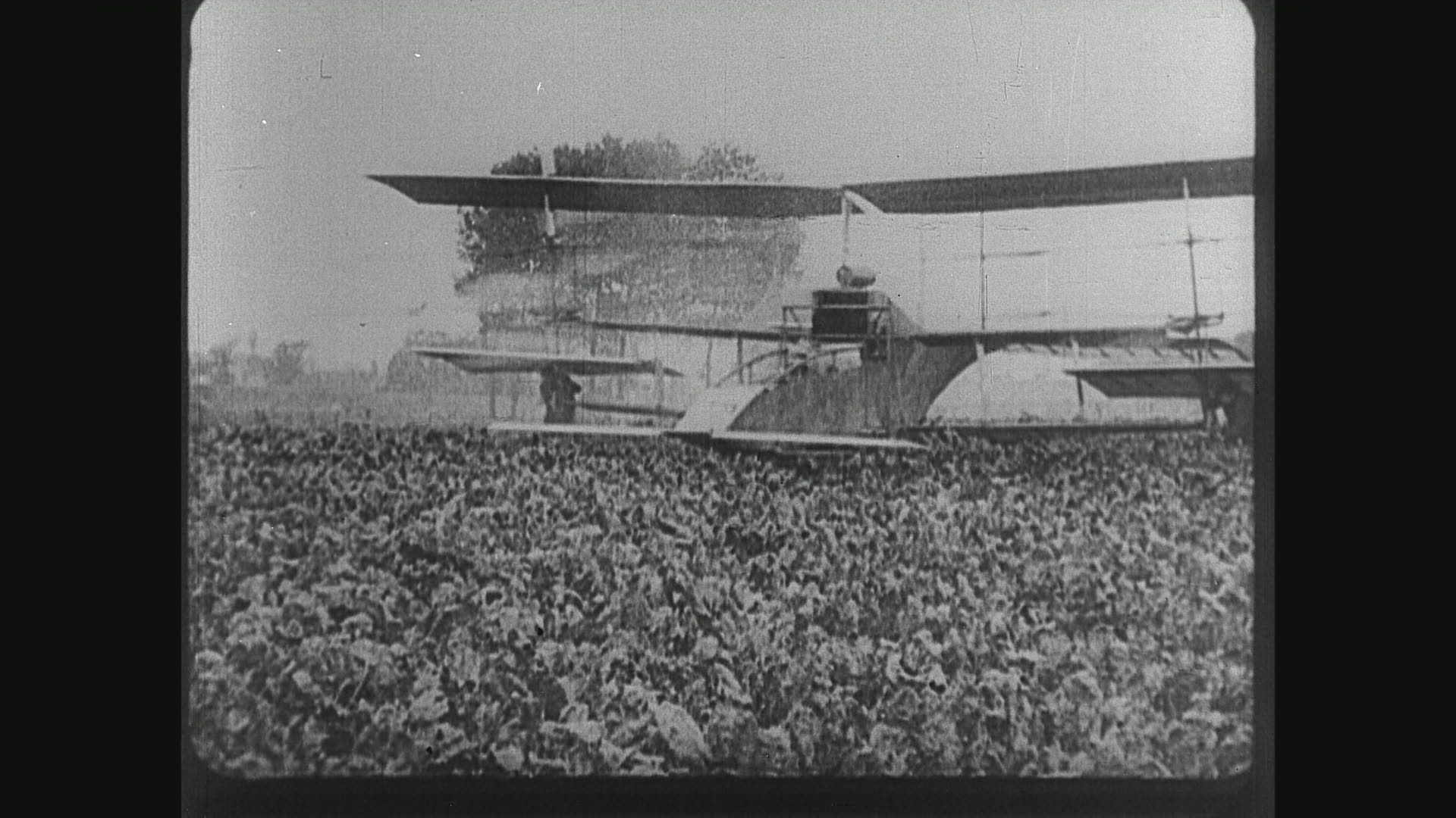 230796020 / Flight Pioneer / Flying Machine / 1908 - 1909