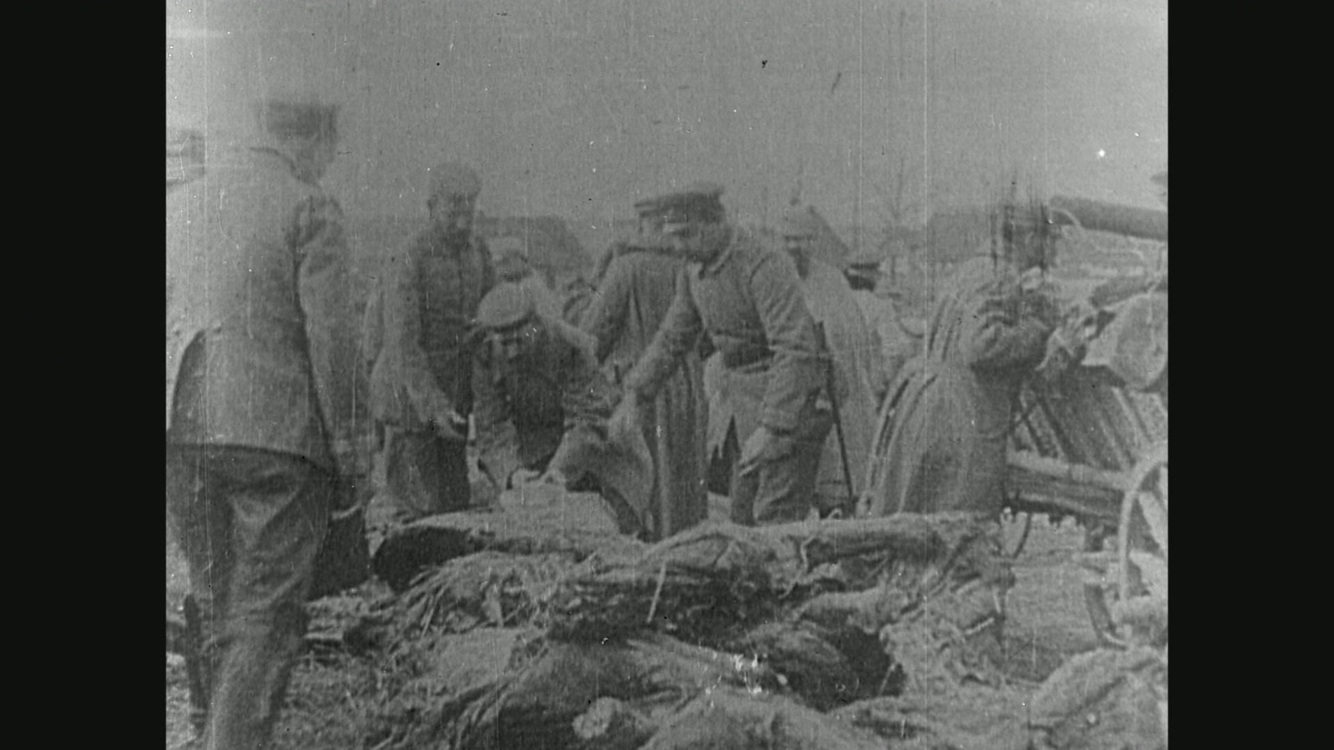 881450430 / Cattle / German Army / First World War / 1916