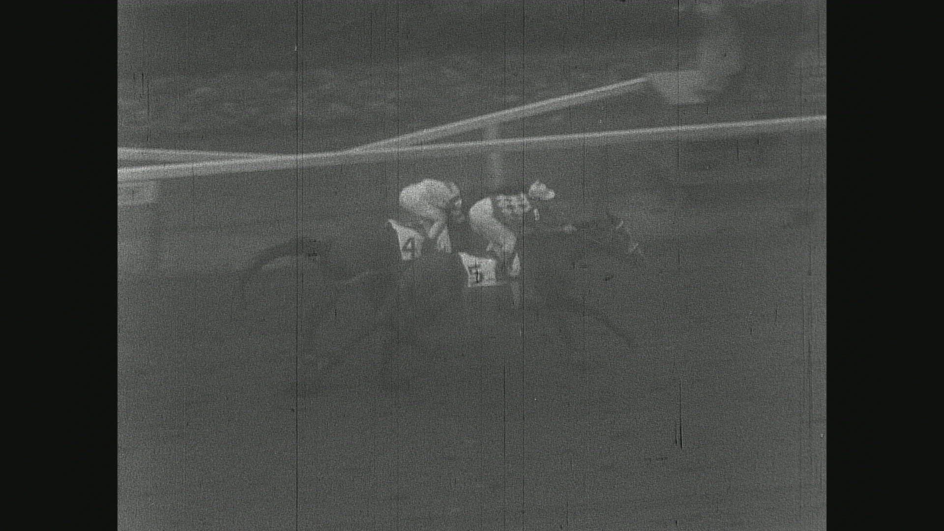 597628466 / Native Dancer / Race Horse / USA / Jun 13, 1953