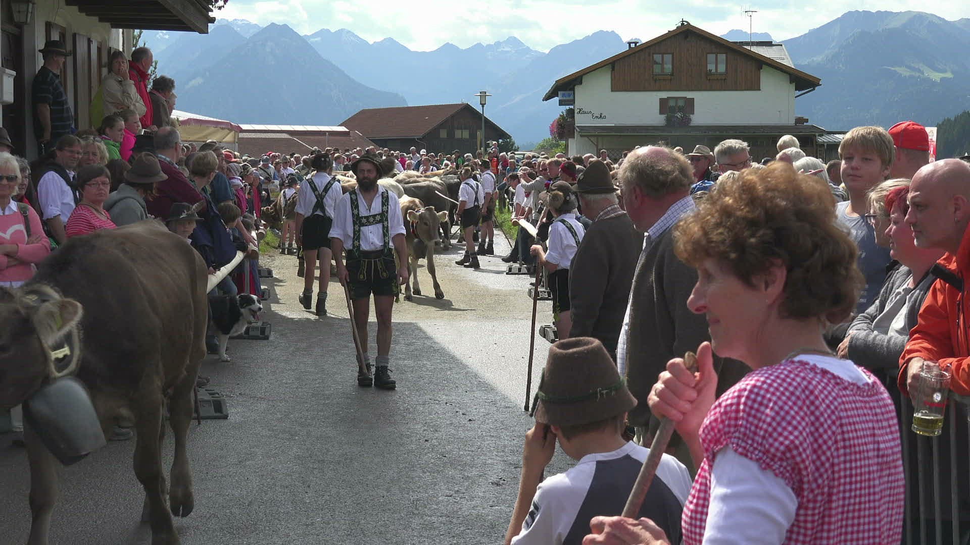 300168484 / Almabtrieb / Cattle Drive / Schöllang