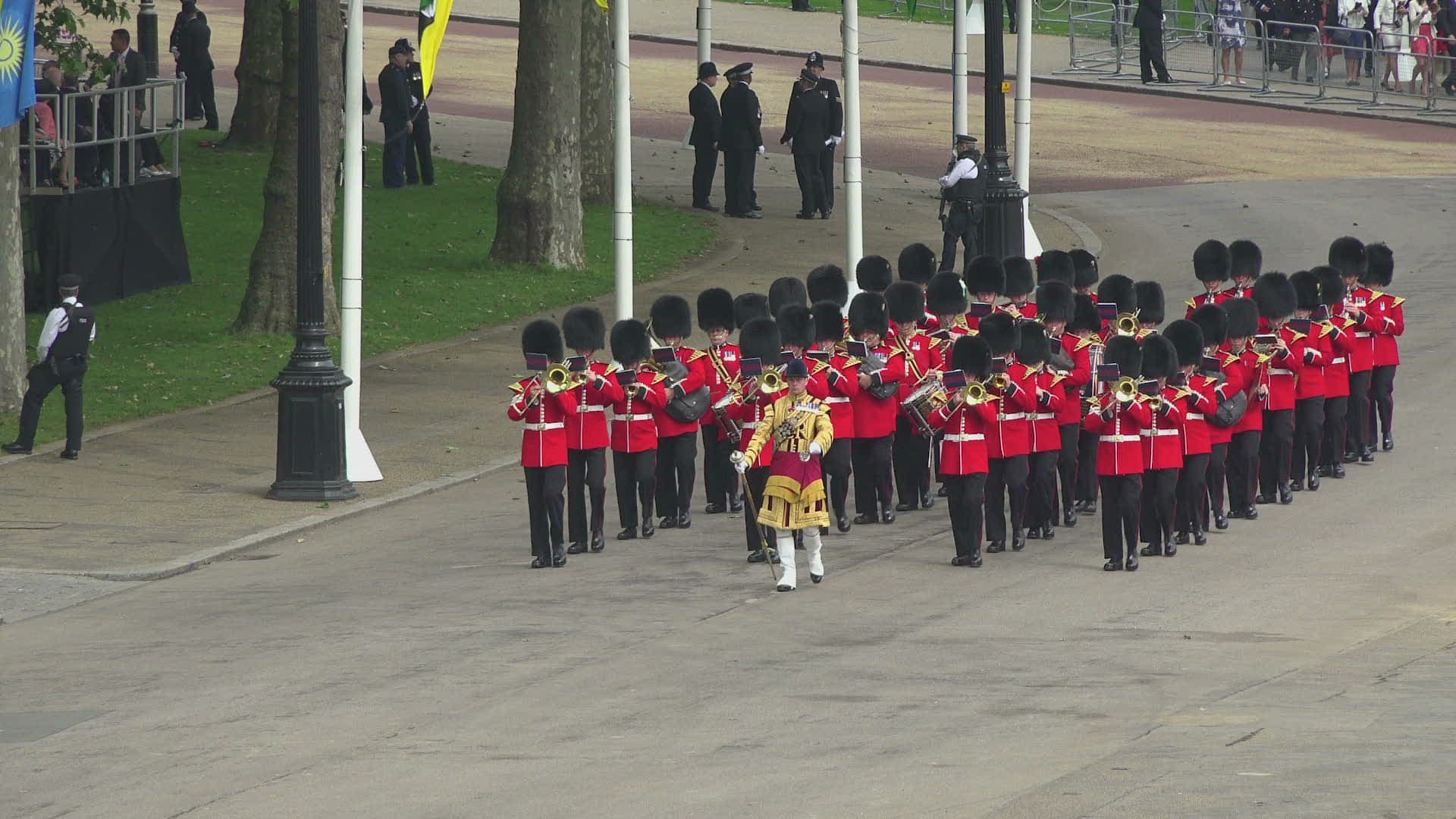 738225716 / Trooping the Colour / Parade / Whitehall