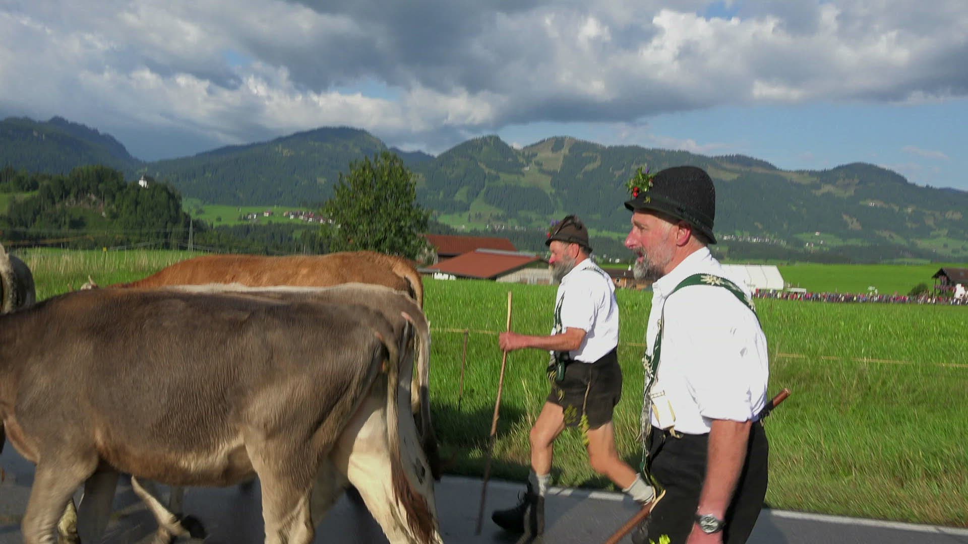 619501114 / Almabtrieb / Cattle Drive / Schöllang