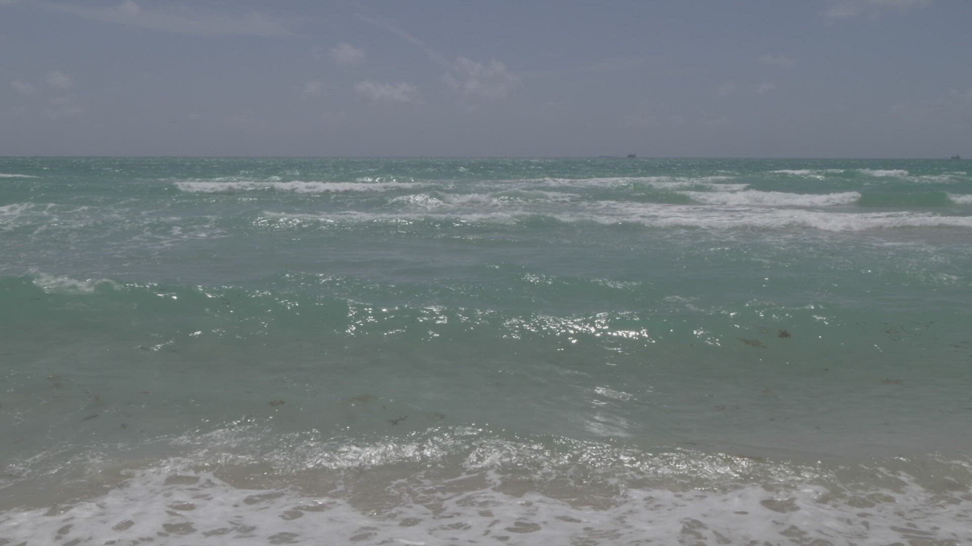 342538317 / People / Wave / South Beach 342538317 / People / Wave / South Beach