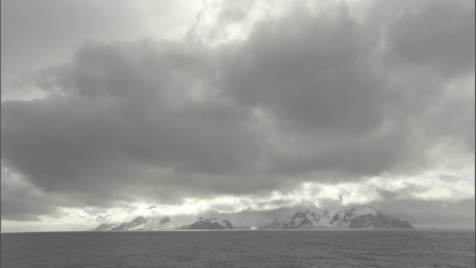 320033988 / Elephant Island / South Shetland Islands / Polar Region