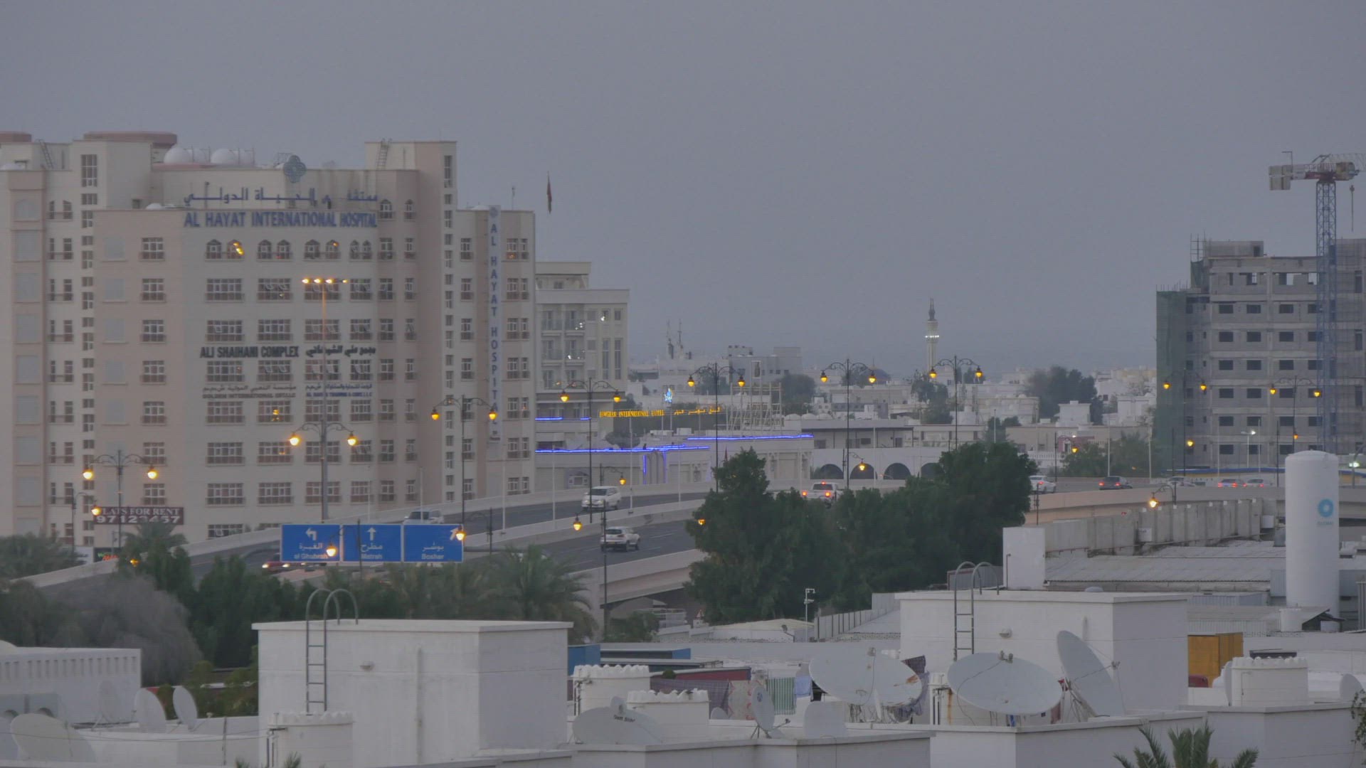 153251141 / Tree / Plant / Muscat