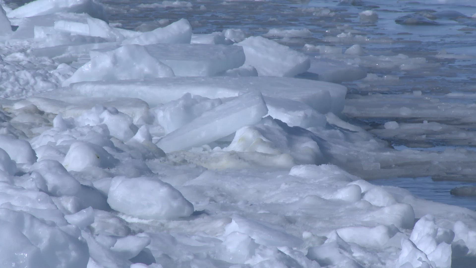 728931776 / Emperor Penguin / Walking Away / Antarctic