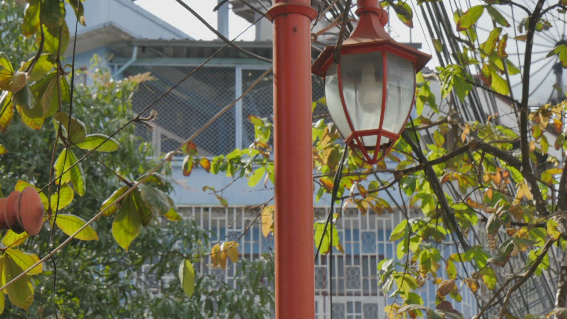 239893790 / Thai / Bilingual / Bangkok