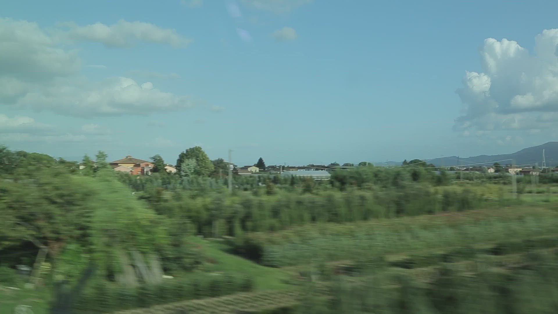 775620571 / Italian Culture / European Culture / Florence