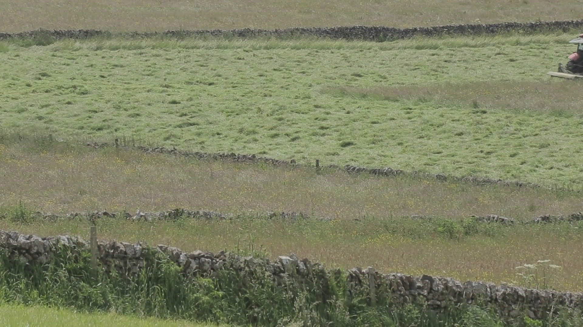 804701307 / Farmer / Agricultural Occupation / Monyash