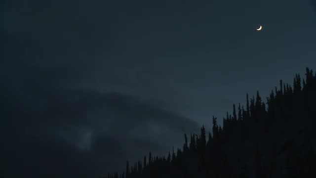 Mustang Scenic Snowy Trees Moon
