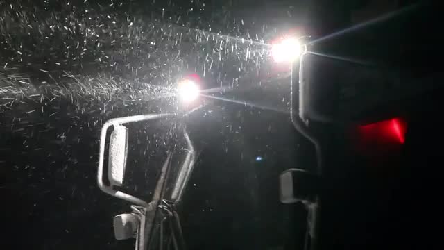100115 Mustang Scenic Cat Snow Falling Headlight 2