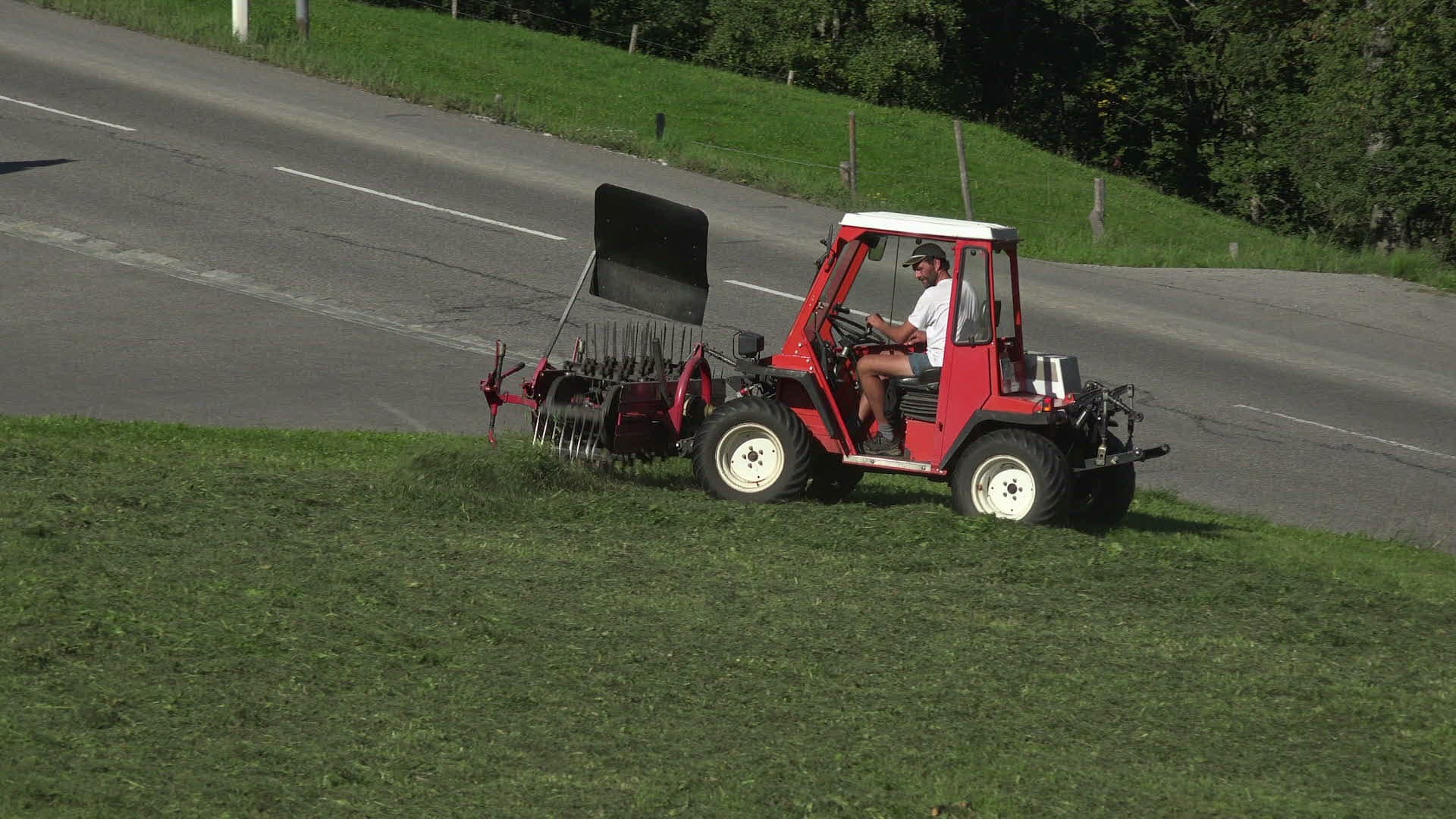 428308273 / Farmer / Agricultural Occupation / Oberstdorf
