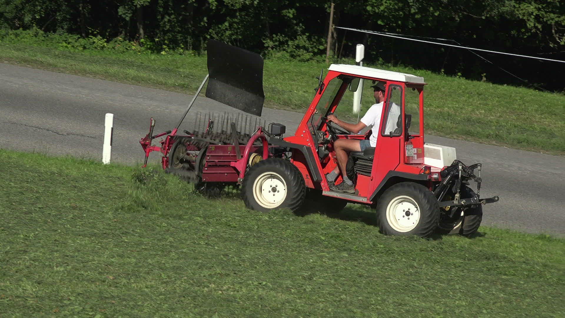 549710595 / Farmer / Agricultural Occupation / Oberstdorf