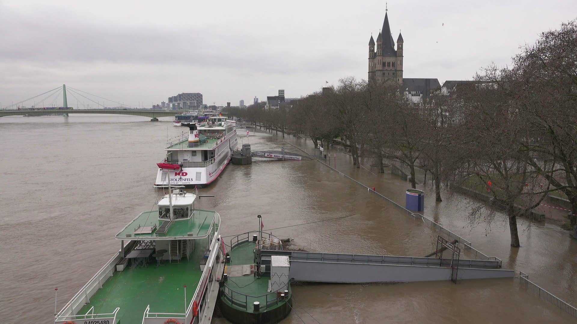 594277898 / Cologne / Tradition / North Rhine-Westphalia
