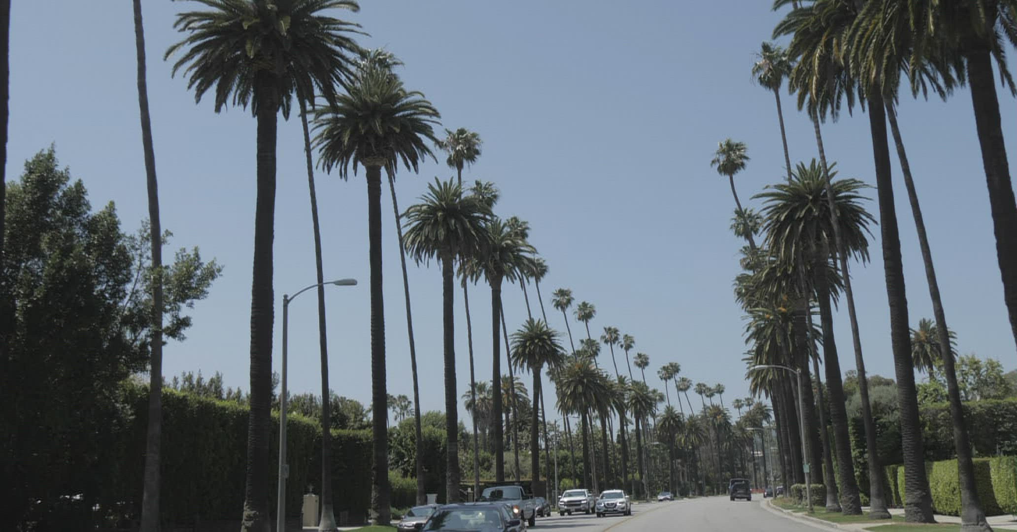 245016104 / Palm / Tradition / Beverly Hills