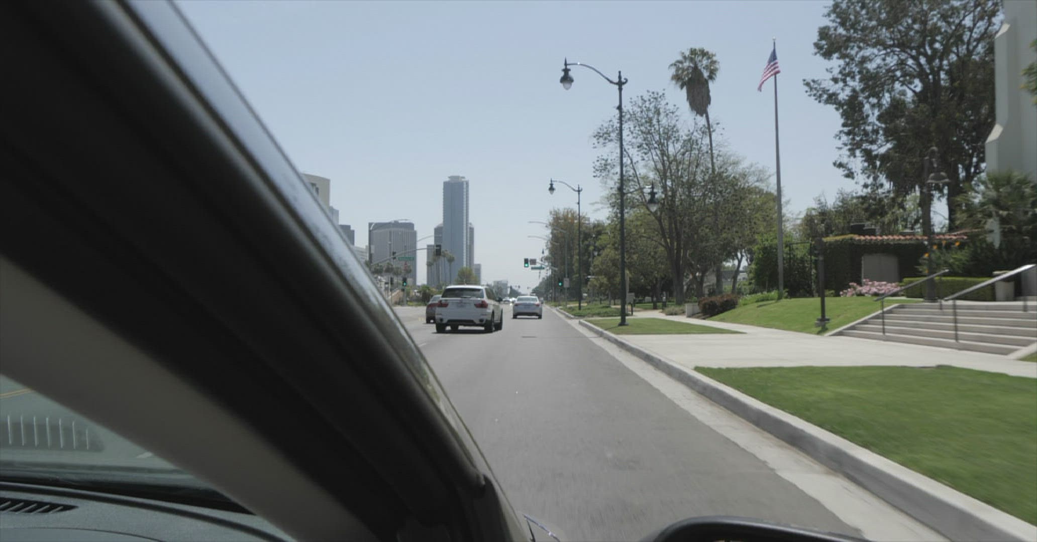 629930500 / Tree / American Culture / Beverly Hills