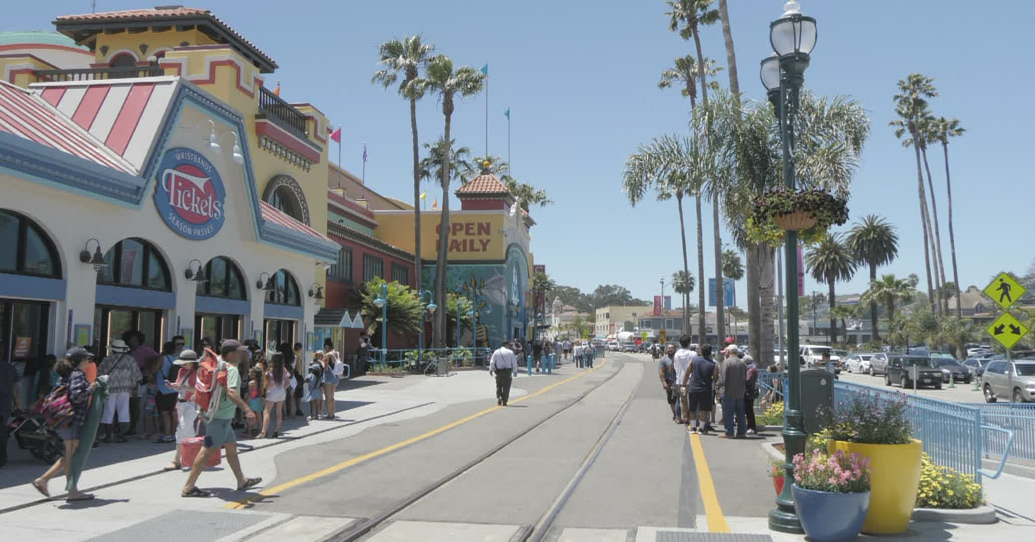 497743858 / Child / Walking / California