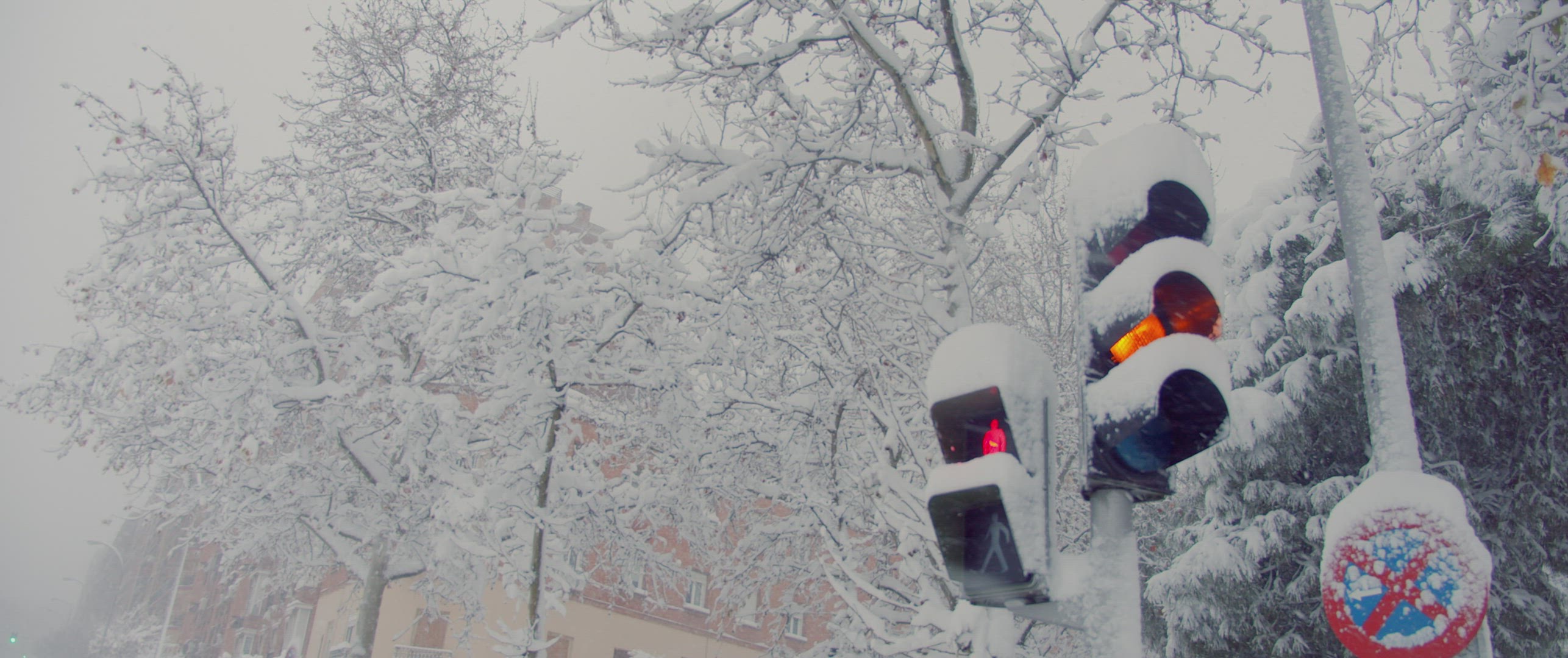 Snowflakes covering traffic light