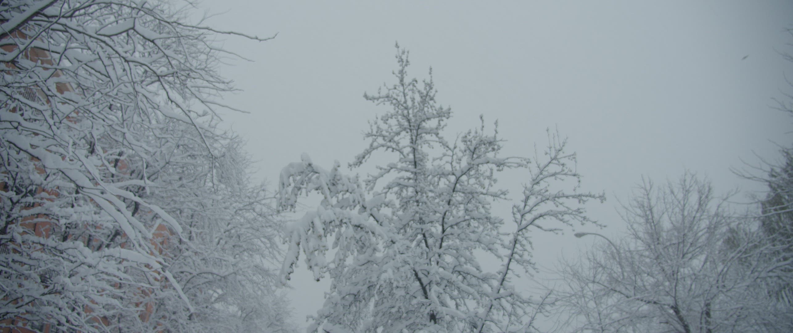 Snowy city in winter