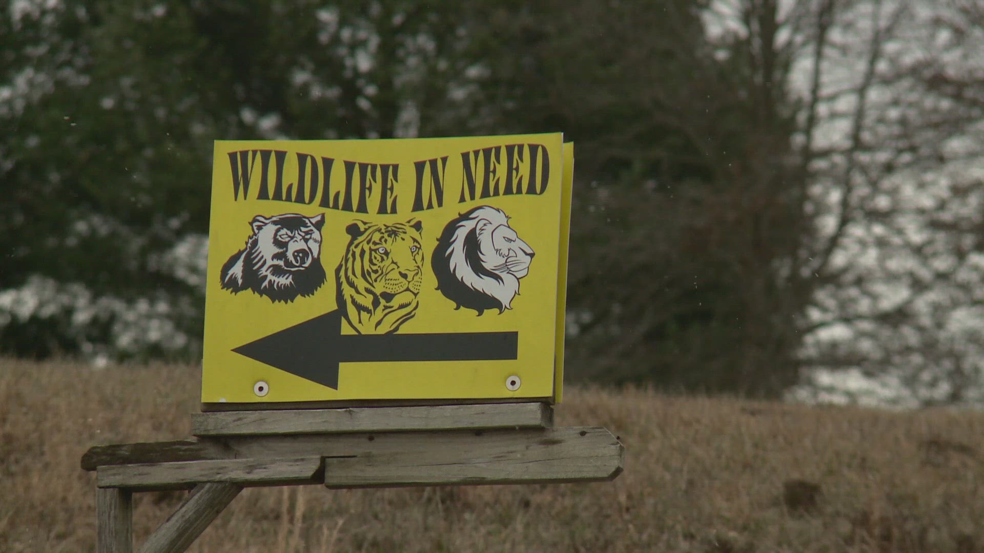 Tim Stark Wildlife In Need