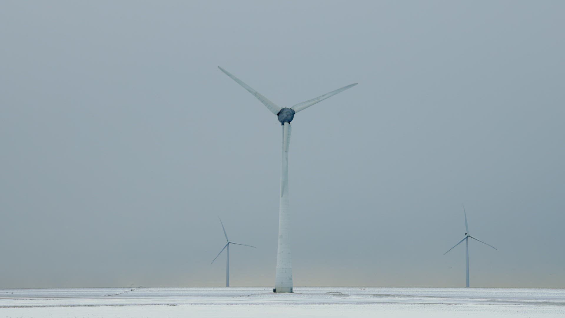 Wind turbines in snow covered field, Rutten, Flevoland, Netherlands