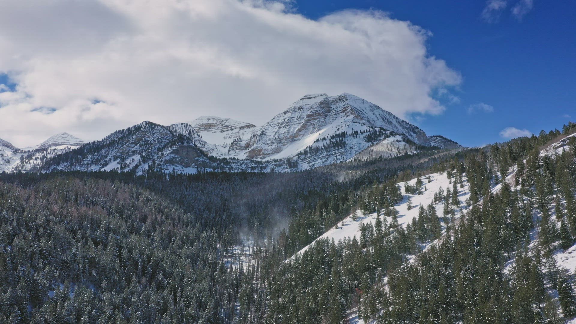 Aerial view over canyon with wind blowing snow through the trees