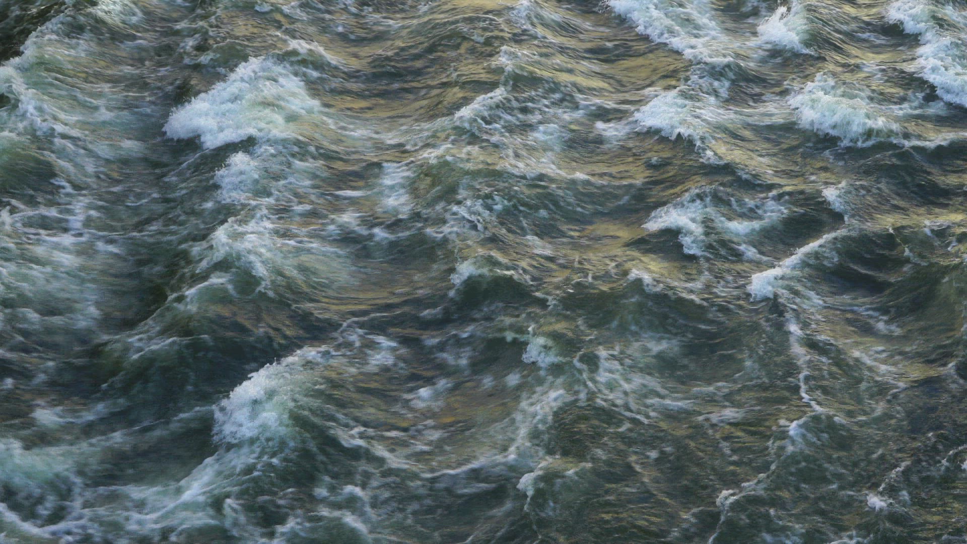 river with streaming water and waves - rapids