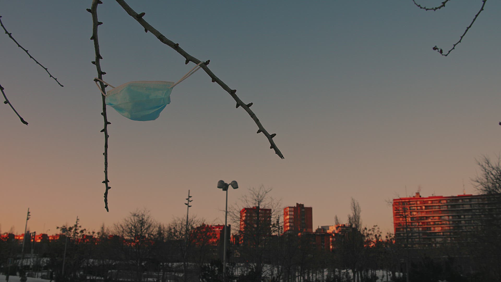 Face mask hangs from a tree branch with the city in the background