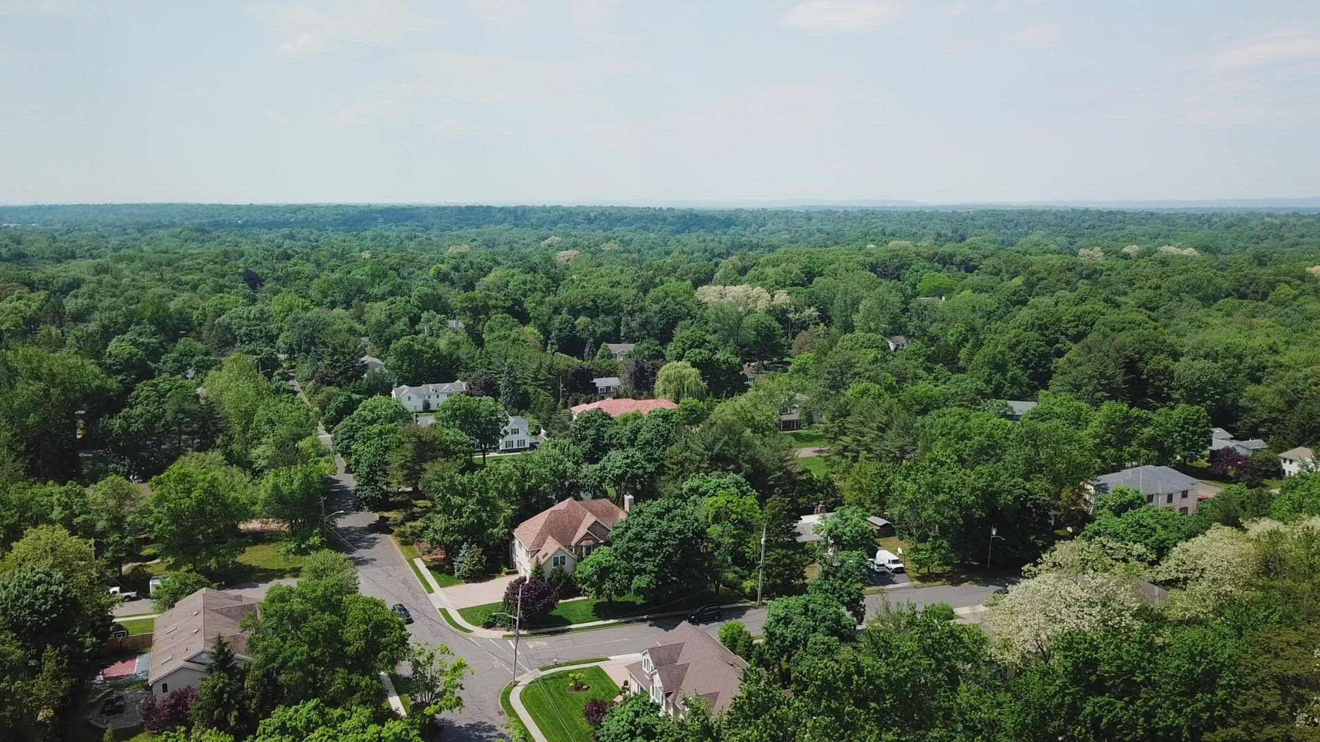 Aerial View of Trees Surrounding the Suburban Landscape Near Alpine New Jersey