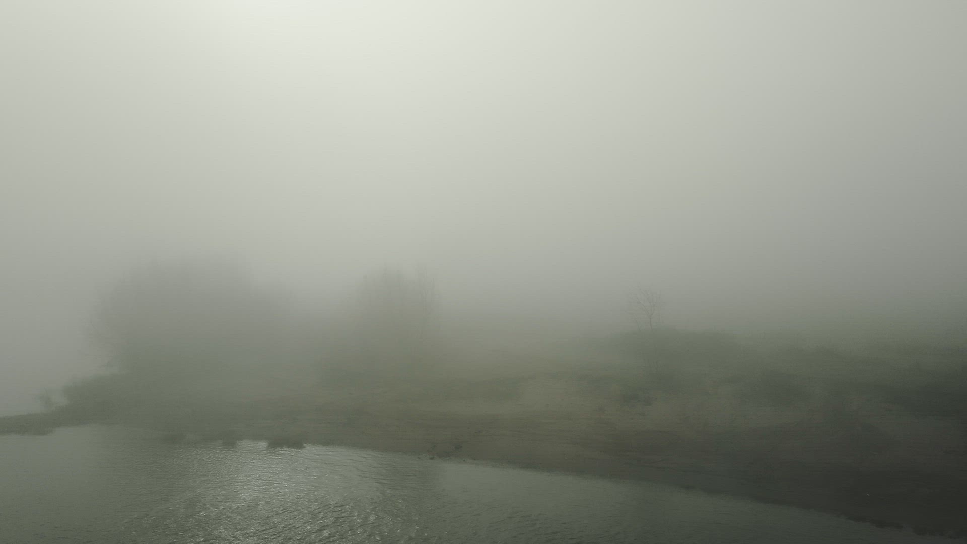 River and bare trees covered with fog, Brakel, Netherlands