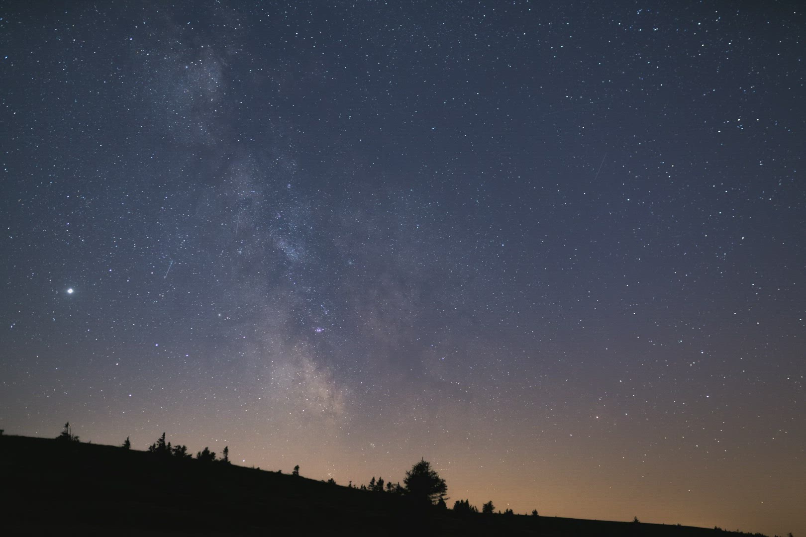 Milky way above the tree silhouette 8K