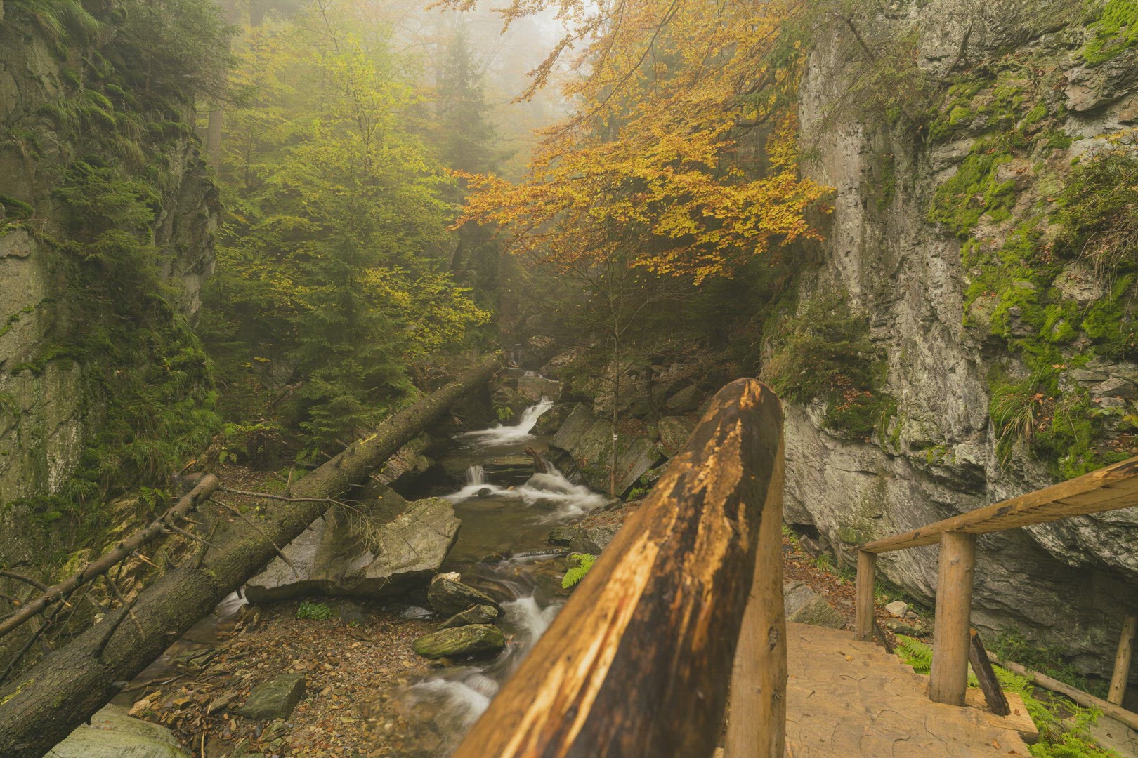 Autumn morning waterfalls with nice fog 8K