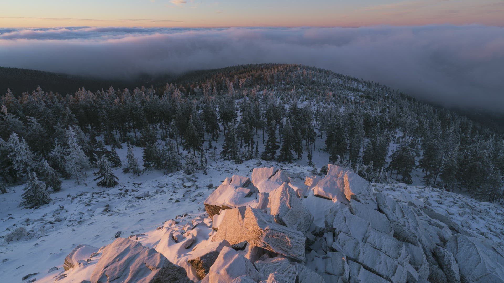 Winter inversion with sunrise and frozen trees 8K