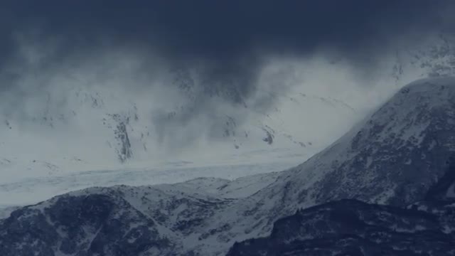 A001 C010 1225Yp 001 R3D