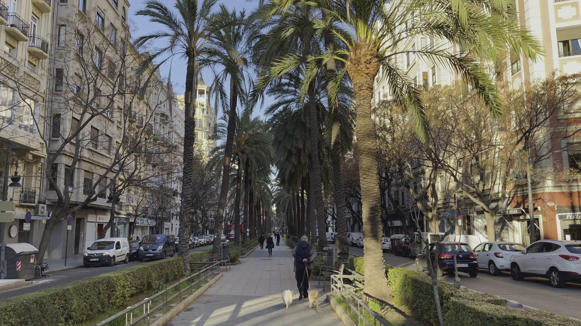 Valencian cityscape with tree-lined walkway, Spain