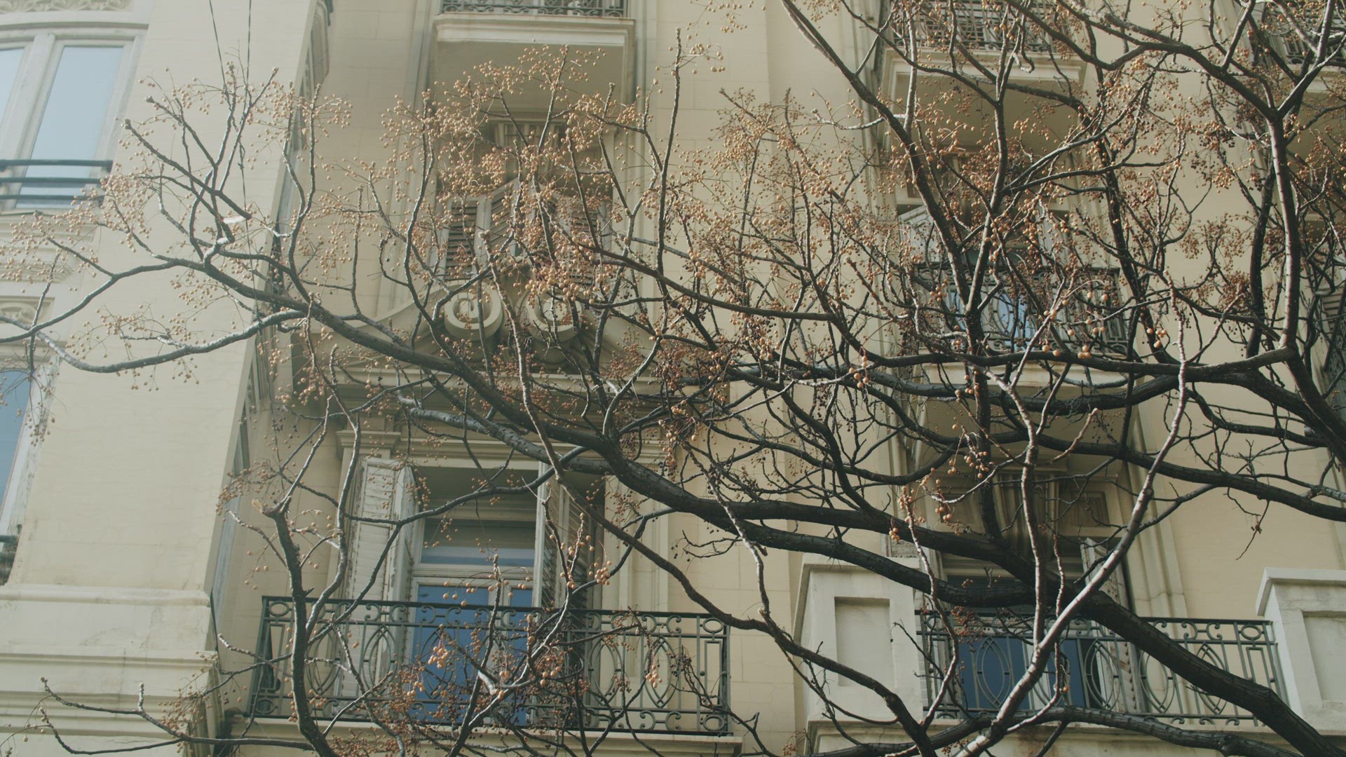 Old European apartment house with bare trees in front