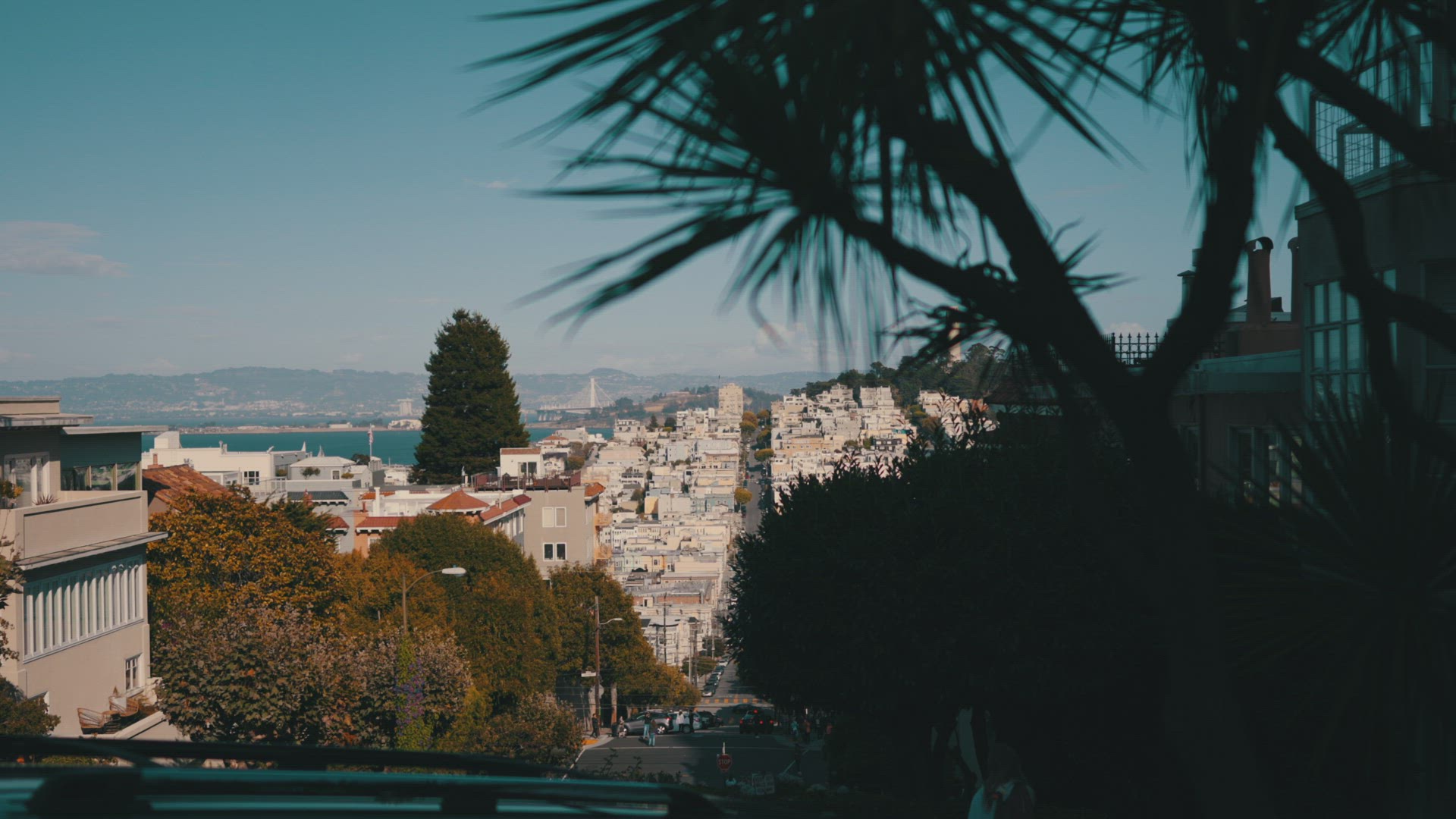 san fransisco california city view bay area bridge panorama down the street 4k