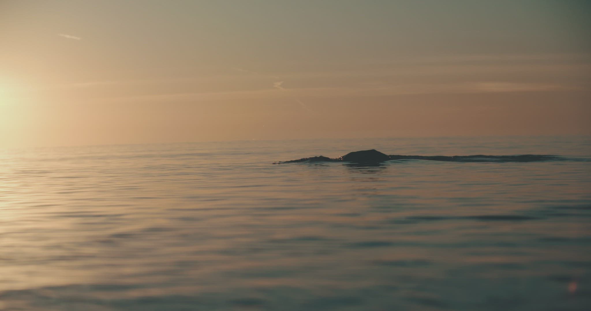 swimmer swimming in ocean sunset wetsuite slowmotion outdoors sports backlight 4k
